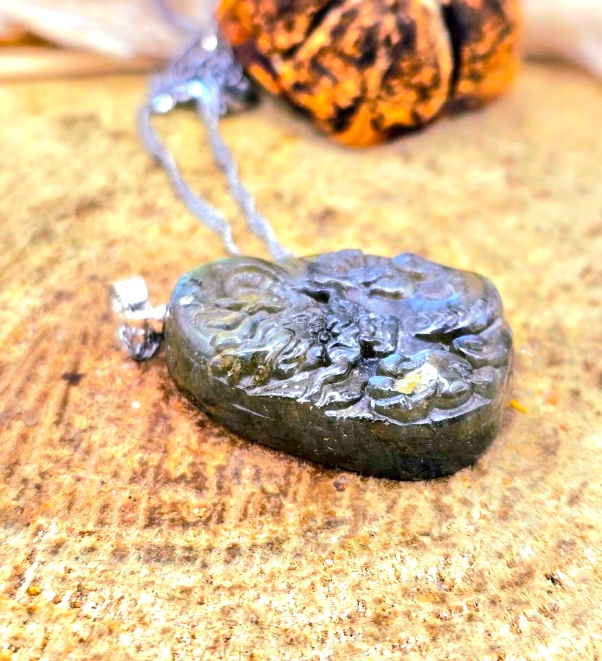 A teardrop-shaped labradorite pendant necklace featuring a detailed carved dragon design, resting on a textured brown shell and beige stone surface in side view-My Aura Gemstones