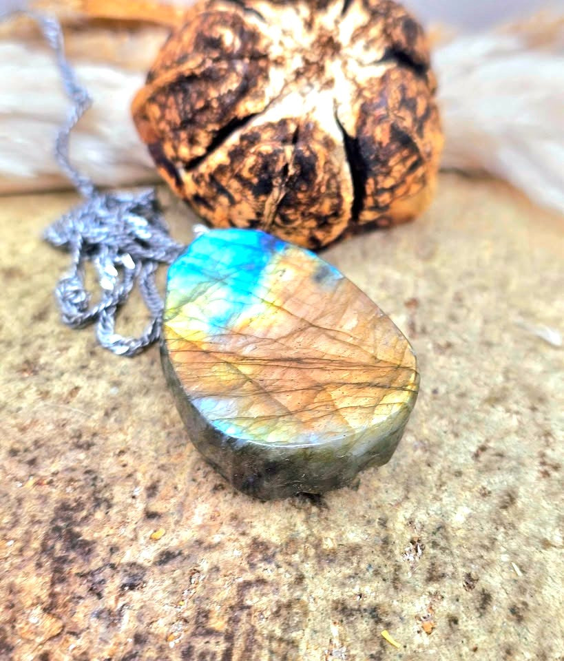 A teardrop-shaped labradorite pendant necklace featuring a detailed carved dragon design, resting on a textured brown shell and beige stone surface at back view-My Aura Gemstones