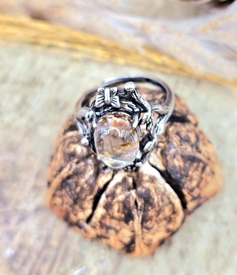 A silver ring with a clear, oval-shaped crystal gemstone, displayed on a textured brown seed pod against a blurred natural background.