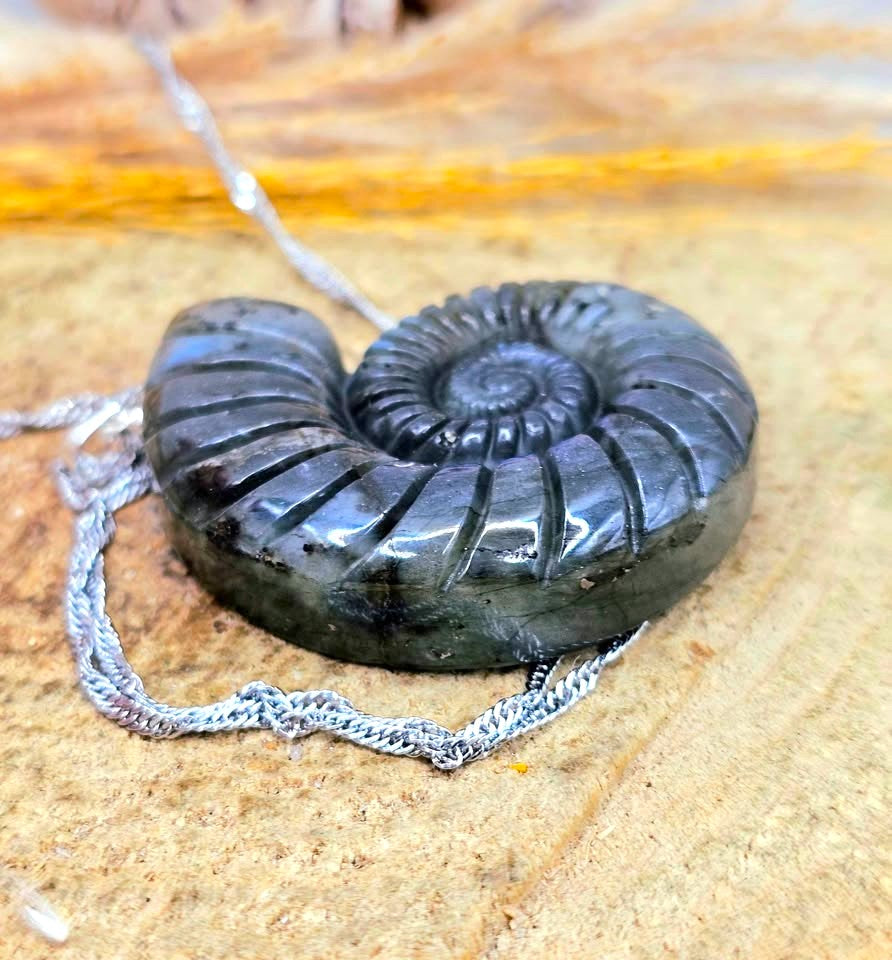 A polished dark gray to black ammolite pendant necklace with a silver-toned chain, resting on a textured tan stone surface.
