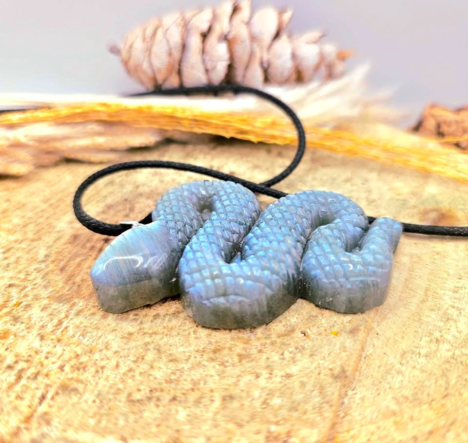 A coiled blue-gray stone pendant necklace with a black cord, displayed on a textured wooden surface with a pinecone and dried grass in the background.