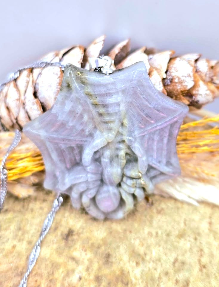A gray spider-shaped pendant or charm with a silver-toned chain, photographed close up against a natural background with pinecones and dried grass.