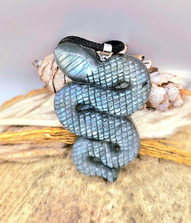 A carved snake pendant with a textured scale pattern, featuring a dark gray and blue-green iridescent finish, hanging from a black cord with a silver clasp. The pendant is displayed on a rustic wooden surface with dried grass and small flowers in the background.