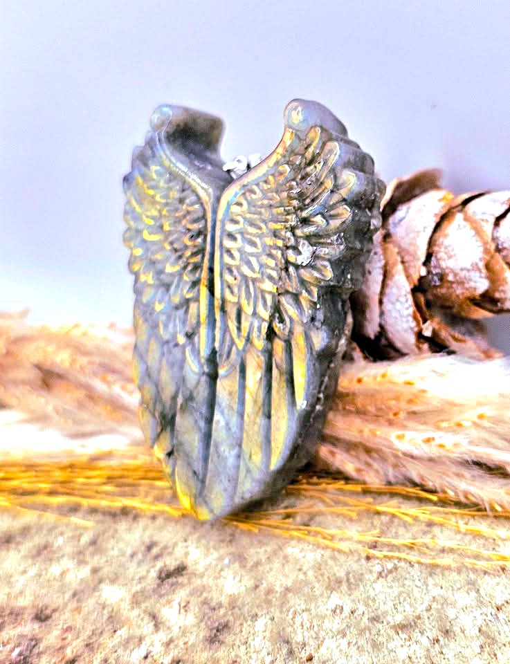 An antique-style winged pendant or charm with a dark metallic finish and gold-toned engraved details, displayed on a textured surface with dried grass and a pine cone.