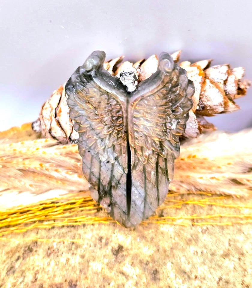 A dark metallic ring shaped like a pair of spread wings, displayed on a textured surface with dried grass and a small shell behind it.