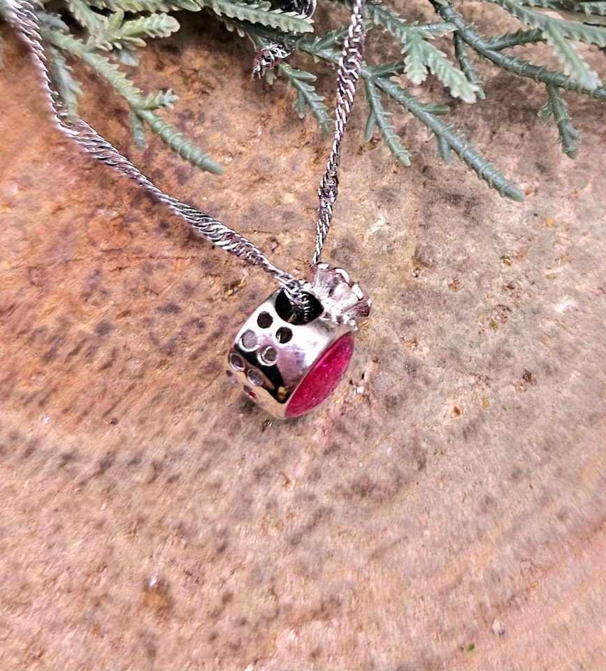 Genuine Nature Meteorite Blessing Coin Bag 925 Pendant Necklace