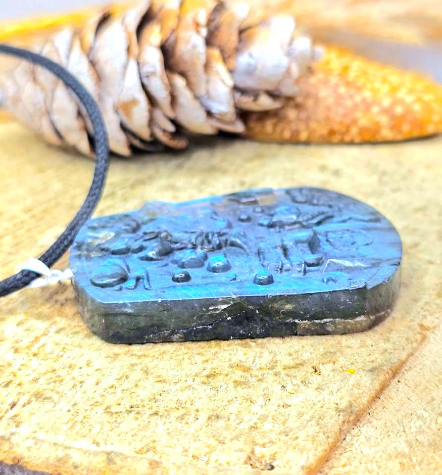 A dark polished stone pendant with a carved relief design, attached to a black cord, resting on a textured stone surface with a pinecone and orange background elements.