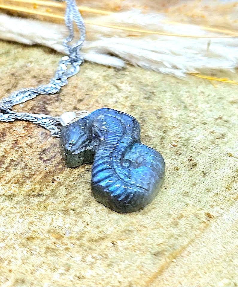 A close-up of a silver-toned chain necklace with a carved snake pendant resting on a textured beige stone surface with dried grass in the background.