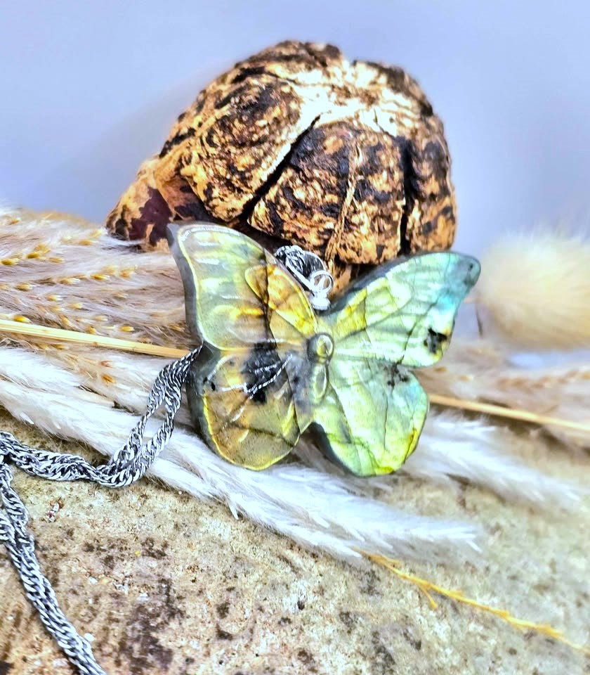 A butterfly-shaped pendant necklace with iridescent green, yellow, and blue wings, suspended from a silver chain and styled on dried grass and a textured stone background.