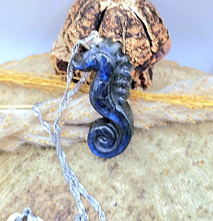 A dark blue polished seahorse pendant necklace with a silver-toned chain, displayed against a rustic background of dried leaves and wood.