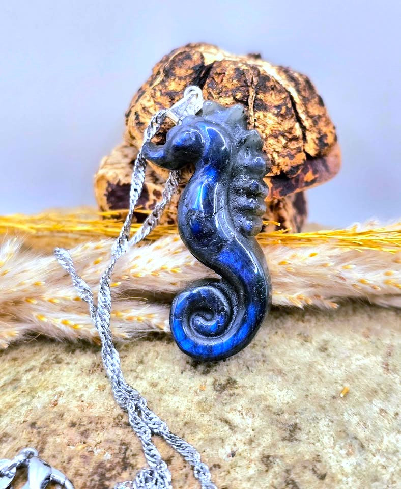 A dark blue and black seahorse pendant necklace with a silver chain, styled on a textured rock with dried grass and a small skull prop.