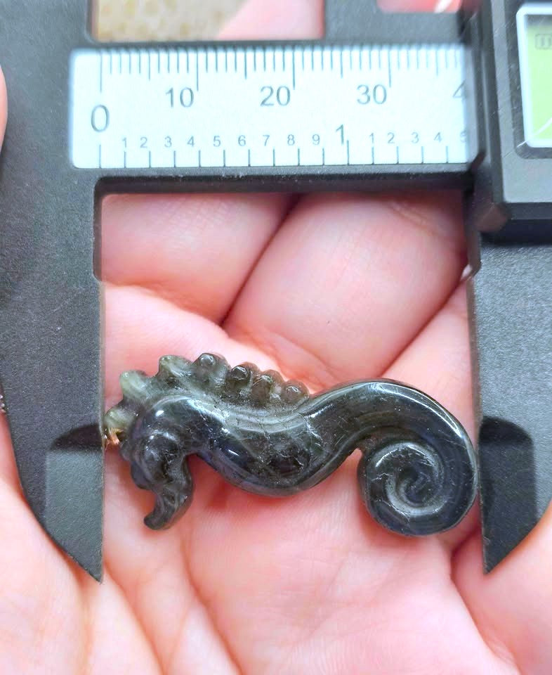 A small polished dark gray seahorse-shaped object held in a person's hand, with a digital caliper measuring its width above the hand.