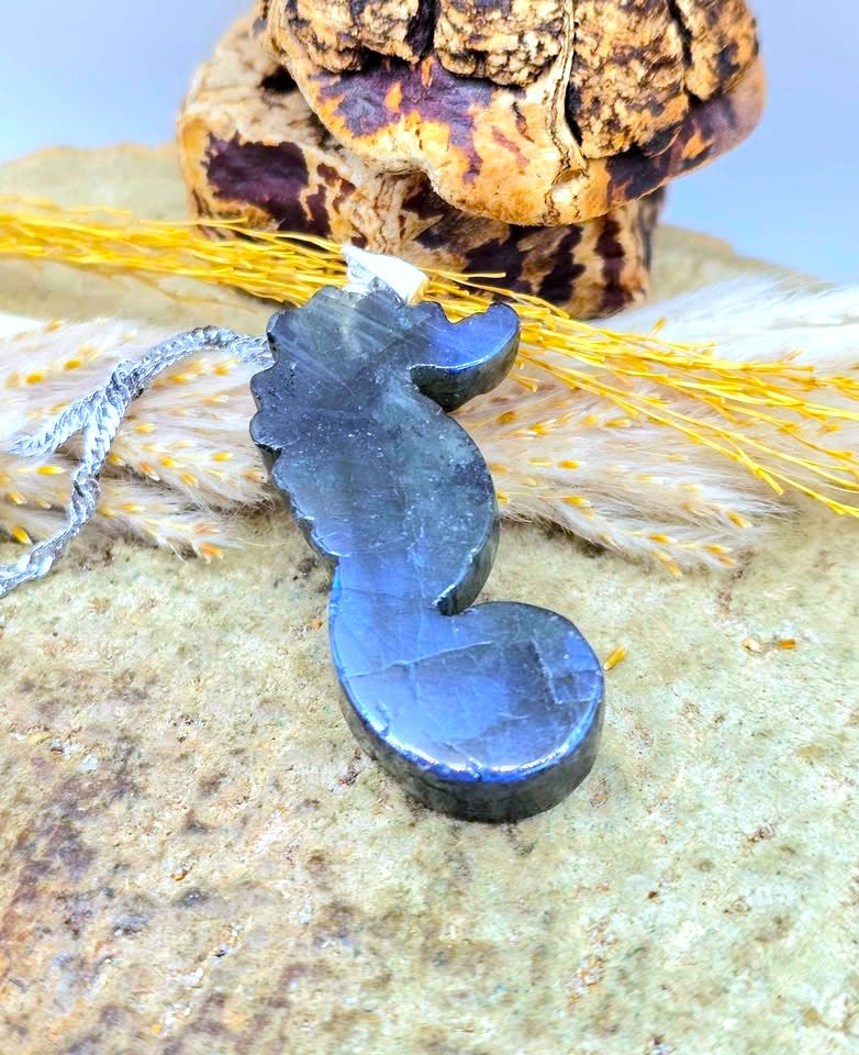 A polished dark blue seahorse-shaped pendant necklace with a silver-colored chain, displayed on a textured stone surface with dried yellow grass and a decorative object in the background.