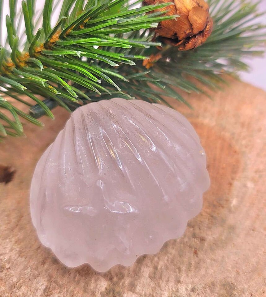 Nature Stone Hand Carved Big Seashell With Stars Figure