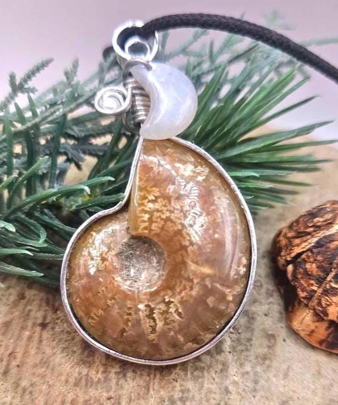 Flashy ammonite and moonstone crescent moon wire-wrapped pendant — My Aura Gemstones
