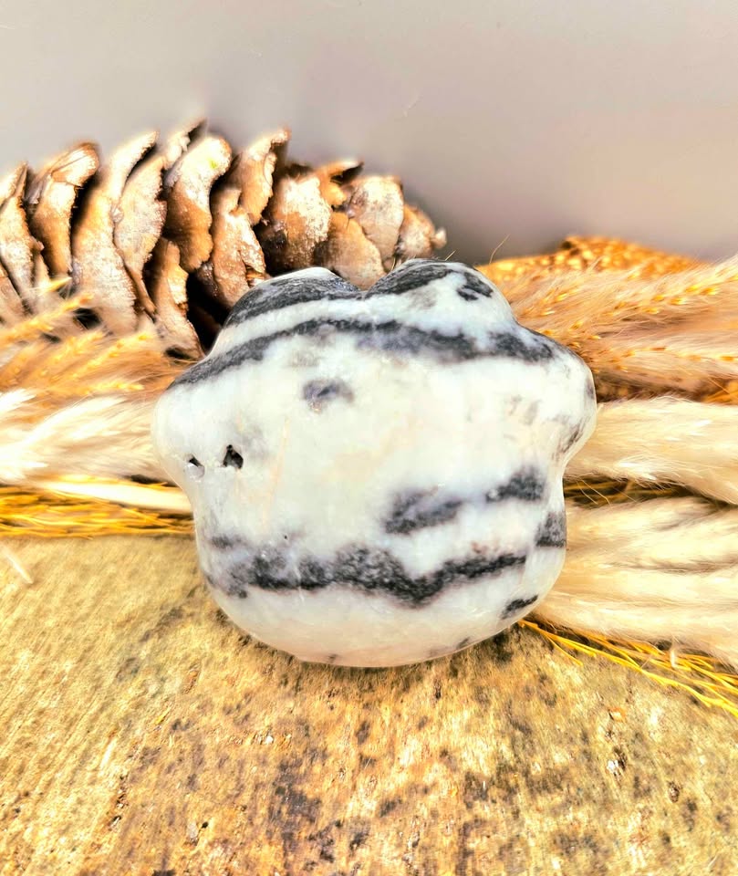 Unique nature zebra stone druzy hand-carved big paw decor palm stone — My Aura Gemstones