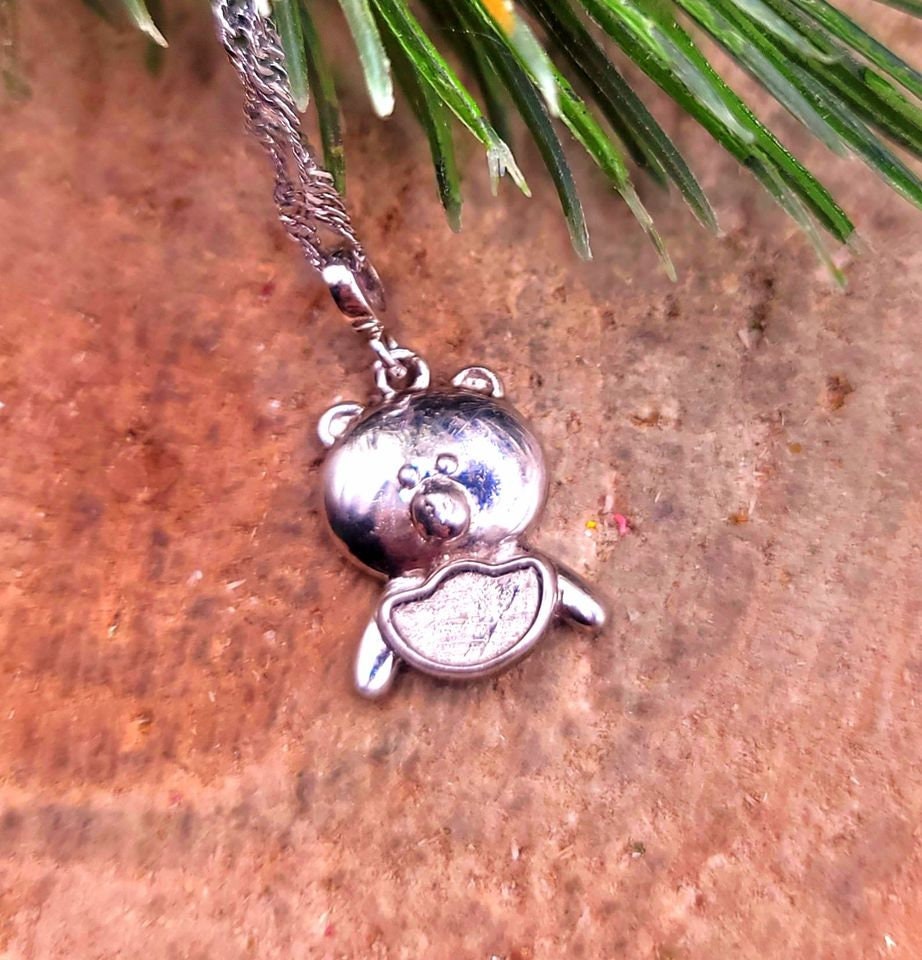 Genuine Nature Gibeon Meteorite Pig  Carries Gold 925 Pendant Necklace