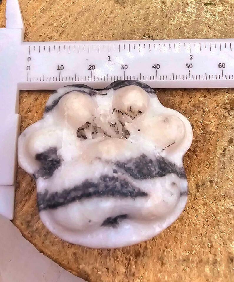 Unique Nature Zebra Stone Druzy Hand Carved Big Paw Decor Palm Stone