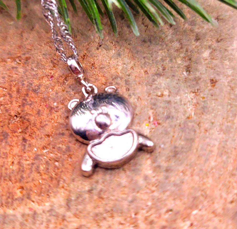 Genuine Nature Gibeon Meteorite Pig  Carries Gold 925 Pendant Necklace
