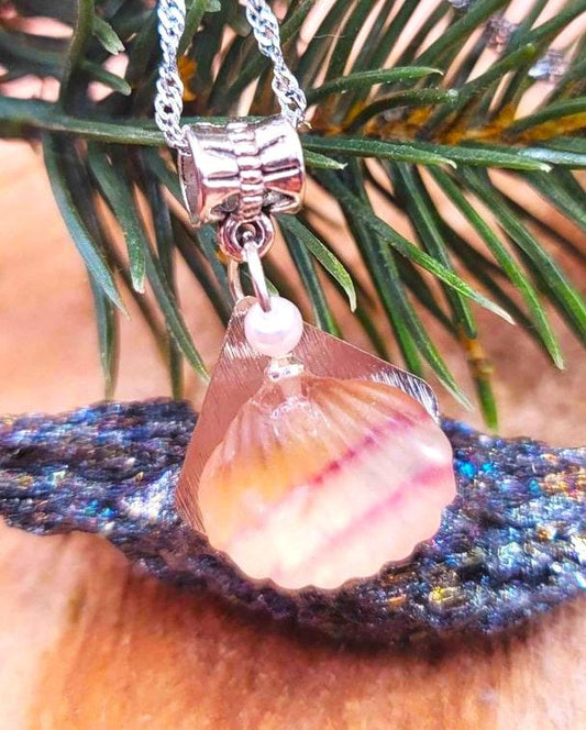 Nature Rainbow Fluorite Shell With Star Pendant Necklace