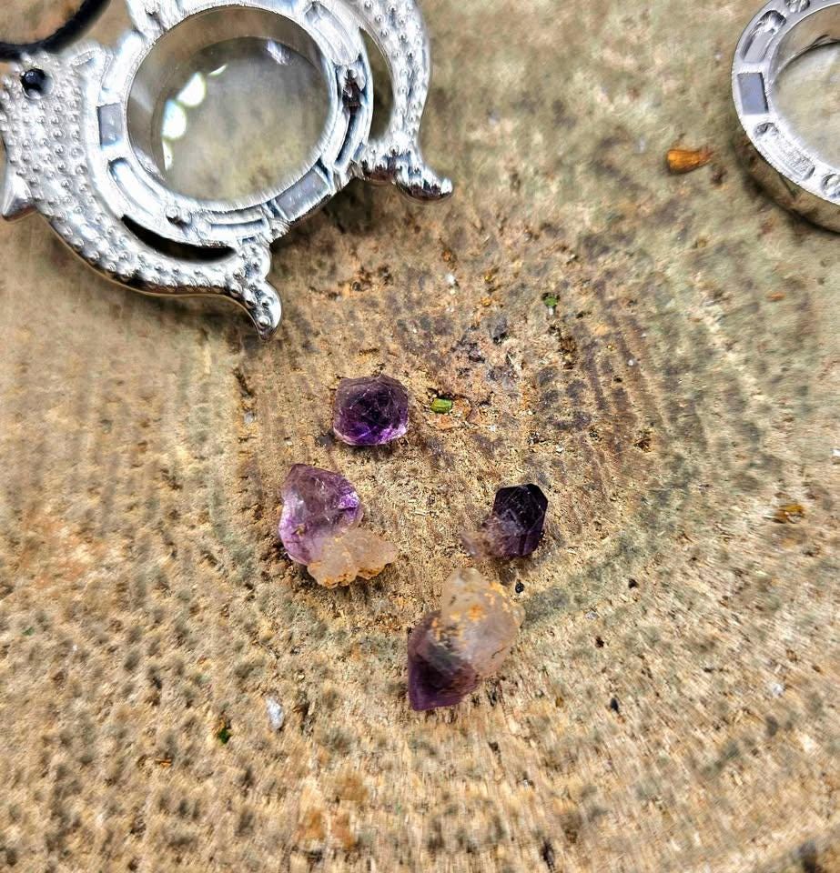 Dolphins Super Seven Raw Stone Floating Locket Necklace