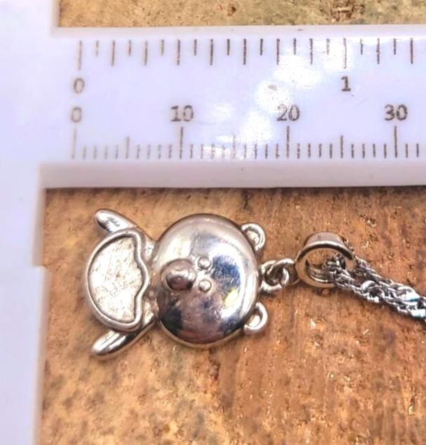 Genuine Nature Gibeon Meteorite Pig  Carries Gold 925 Pendant Necklace