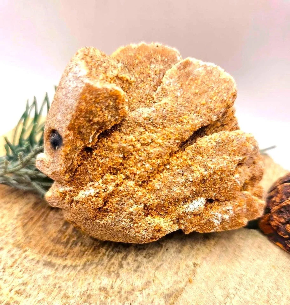 Desert Rose Hand Carved Fish Decor Figure HD