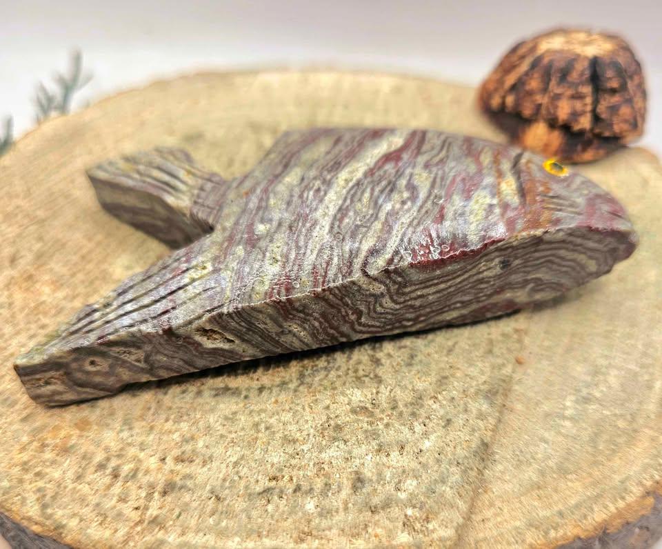 Nature Dragon Blood Stone Hand Carved 4" Big Fish Figure