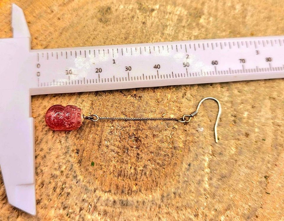 Nature Strawberry Quartz Hand Carved Pi Xiu Blessing Coin S925 Dangle Earring