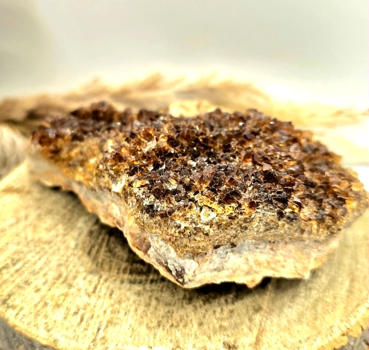 Natural Amethyst Honey Cluster Specimen | Heat‑Treated Dark Honey Crystal | Flashy Point Display | Healing Crystal Décor