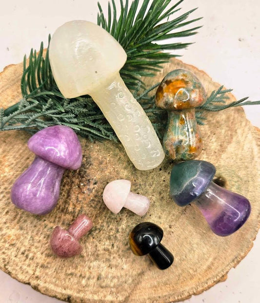 Assorted 7pcs Nature Crystal Stone Mushroom