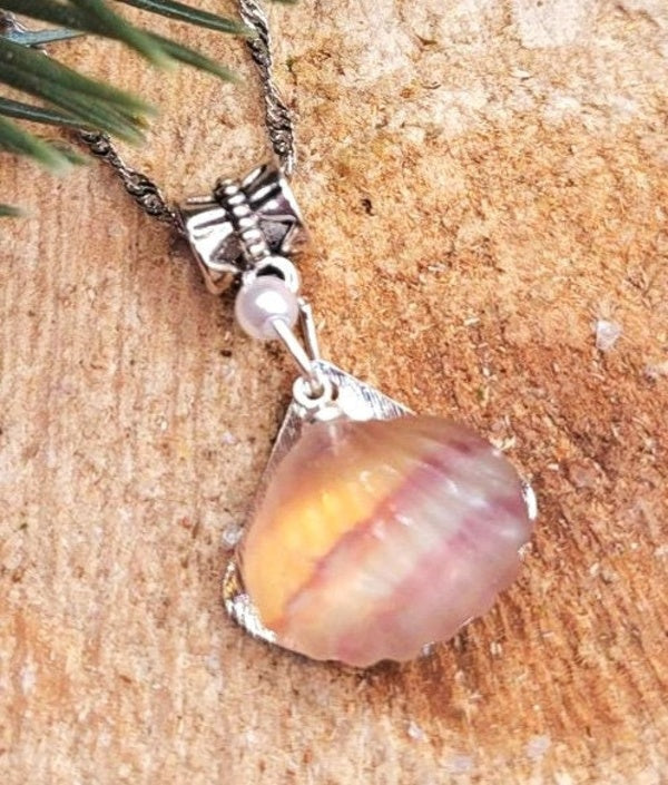 Rainbow fluorite shell with star pendant necklace worn — My Aura Gemstones